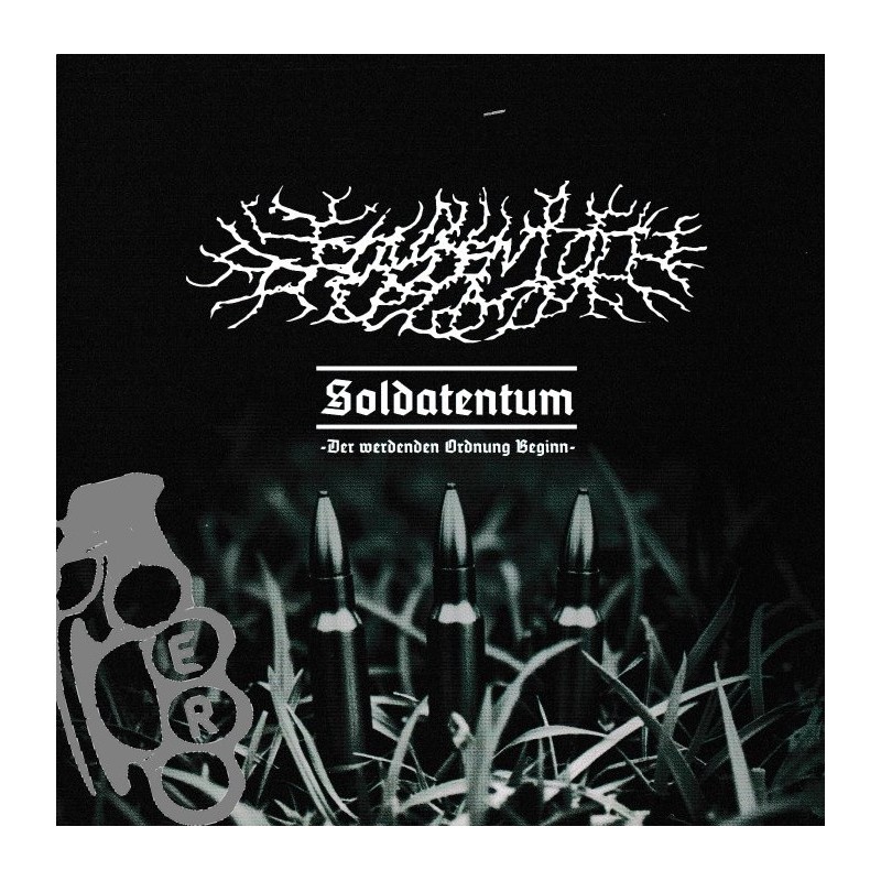 Flammentod - Soldatentum: Der Werdenden Ordnung Beginn