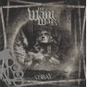We Want War - Stray