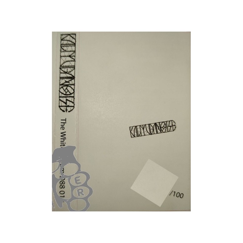 Kali Yuga Noise - The White Album