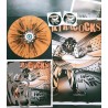 UltRACockS - Fuck The NWO - Splatter LP