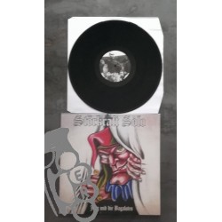 Störkraft Solo - Jörg & Die...