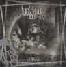 We Want War - Stray