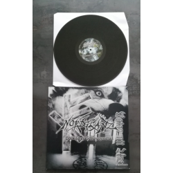 Nordglanz - Völkischer...