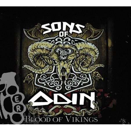 Sons Of Odin - Blood Of Vikings