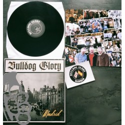 Bulldog Glory - Madrid